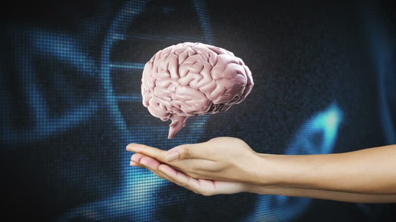 Top 10 Strange Facts About Human Brain