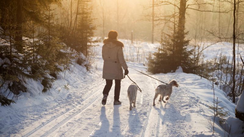 Positive Love - 5 Reasons Why Being Single On the Holidays is GREAT!